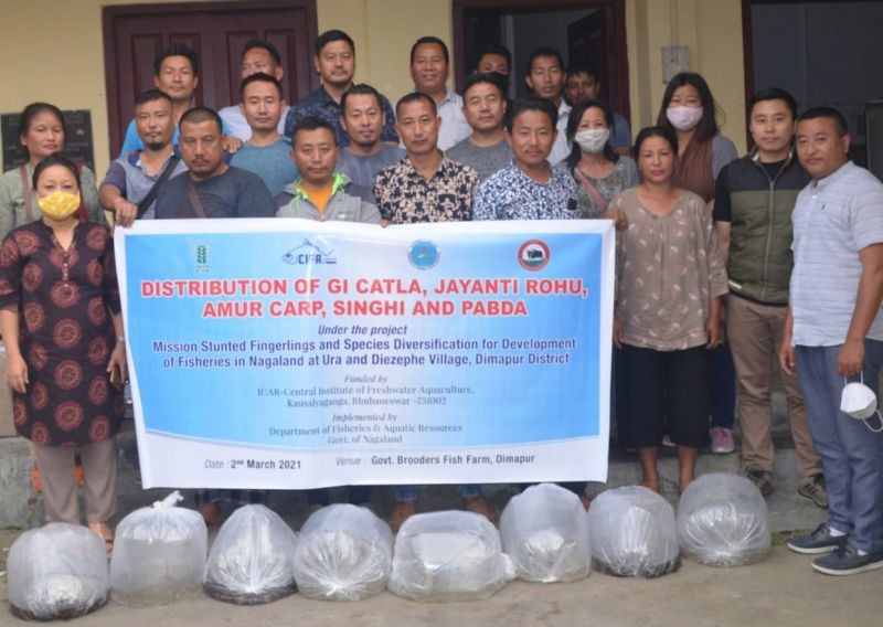 Farmer beneficiaries with others during the distribution of Amur Carp and Singhi seeds to the farmers at Ura and Diezephe village, Dimapur on March 2. (DIPR Photo) 